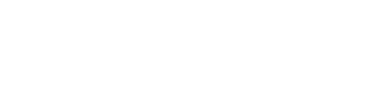 Zellic Logo